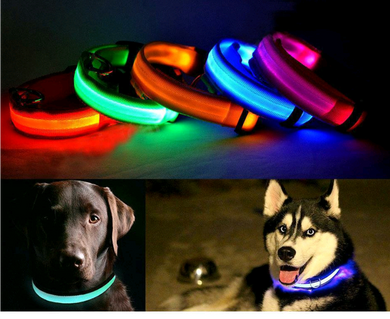 Nylon LED Pet Dog Collar Night Safety