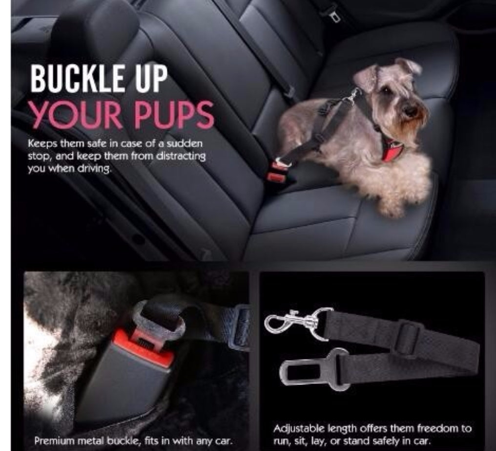 Dog Car Harness With Seat Belt