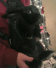 Pet Carrier Shoulder Bags-Dog, Cat, Rabbit