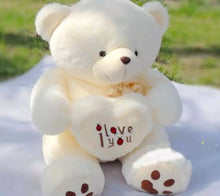 Teddy Bear I Love You 20 inch