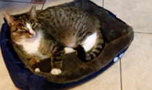 Durable Plush Pet Warming Bed-Dog/Cat