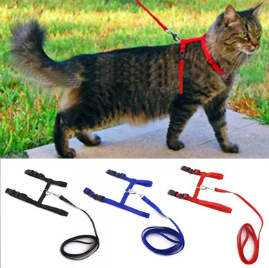 Cat/Small Dog Collar Harness And Leash Adjustable Nylon