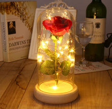 LED Flashing Luminous Eternal Rose- Beauty and Beast