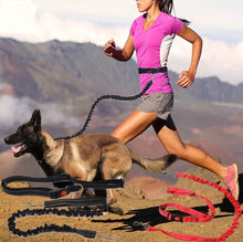 Elastic Belt Dog Running Leashes Hands Free
